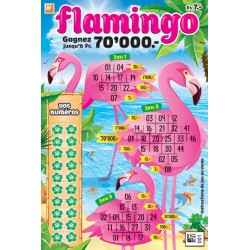 Flamingo